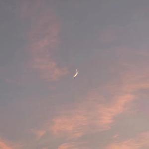 筋膜枪让我高潮了十几次
